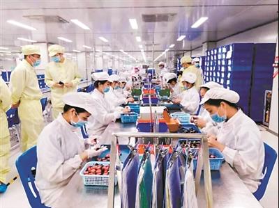 Workers In Protective Clothing Assembling Electronics Components In A Cleanroom Setting.