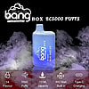 Reklambild för Bang Disposable Bang BC 5000 Box vape-enheten med smaken Blue Razz Ice, som visar 5000 bloss, 13 ml kapacitet, 650 mAh inbyggt batteri, typ-C-laddning och 14 smakalternativ mot en rökig bakgrund.
