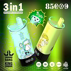 Promotional Image Featuring Bang King Vape In A Green-Themed Graphic Design, Displaying Two Colorful Vape Devices With Illustrations Of Apes, Highlighting Features Including 3-In-1 Adjustable Flavors, 8500 Puffs, Type-C Charging, 600Mah Battery, And 21Ml E-Liquid Capacity.