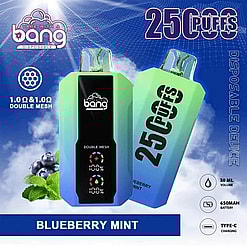 Promotional Image Showcasing A Disposable Vaping Device With A Blueberry Mint Flavor, Labeled To Provide 2500 Puffs, Featuring Double Mesh Technology, A 650Mah Battery, 30Ml Liquid Capacity, And Type-C Charging; The Design Includes Blue And Green Gradients And Branding.