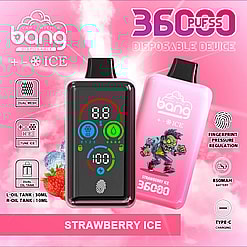 Promotional Image For A Bang Disposable Vape Device Featuring Strawberry Ice Flavor With A Pink Background, Highlighting Features Like Dual Mesh Coils, Fingerprint Pressure Regulation, An 850Mah Battery, And A Digital Screen.