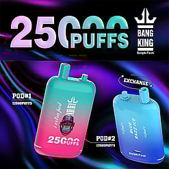 A promotional graphic highlighting a product called 'Bang King 25000' by DelphiTech, featuring two vibrant vape pod designs and emphasizing a combined total of 25,000 puffs with 12,500 from each pod.