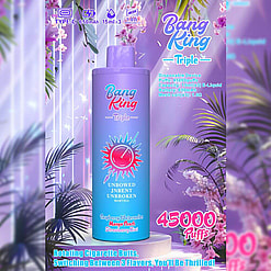 Promotional Image Of A Disposable Vape Device Named 'Bang King Triple,' Showcasing A Purple Container Design With Decorative Text And Graphics, Highlighting Features Like 45000 Puffs, Type-C Charging, Three Flavors, And A Tropical-Themed Background.