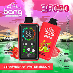 Image promotionnelle pour les appareils de vapotage jetables Bang au goût fraise-pastèque, présentant des caractéristiques détaillées comme un écran numérique, des résistances à double maille, un régulateur de pression par empreinte digitale, une batterie de 850 mAh, un chargeur Type-C et une capacité de 3600 bouffées. L'arrière-plan présente un paysage tropical coloré avec des fraises et des pastèques.