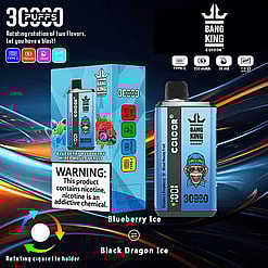 Promotional Image For The Bang King 3,000-Puff E-Cigarette, Featuring A Dual-Flavor Rotation System Advertised As Blueberry Ice And Black Dragon Ice, With A Colorful Design And Nicotine Warning Label.