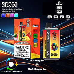 Illustration Of A Colorful Vape Device And Package Labeled 'Bang King' Featuring 3,000 Puffs And Multiple Flavors Like Watermelon Ice And Strawberry Mango, With Icons Displaying Specifications Such As 550Mah Battery, 36Ml Capacity, And Type-C Charging.