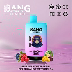 Kleurrijk dampapparaat met de merknaam 'Bang Leader' in een aquamarijn- en rozekleurig ontwerp, versierd met een afbeelding van een aap met een zonnebril en omringd door illustraties van bosbessen, frambozen, perzikschijfjes, mango en watermeloen die de verschillende smaken damp vertegenwoordigen.