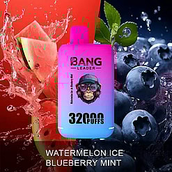 Product Image Of A Colorful Vaping Device Labeled 'Bang Leader 32,000 Puffs,' Set Against A Background Displaying Watermelon Slices, Blueberries, And Green Mint Leaves, Accompanied By The Flavors 'Watermelon Ice' And 'Blueberry Mint' Text.