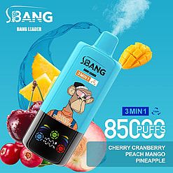 Advertising Image Of A Disposable Vape Device Branded 'Bang Leader' With A Cartoon Monkey Graphic, Surrounded By Fruit Imagery Including Pineapple, Cherries, And Mango, Labeled With Features Such As '3-In-1,' '8500 Puffs,' And Flavors 'Cherry Cranberry,' 'Peach Mango,' And 'Pineapple'.