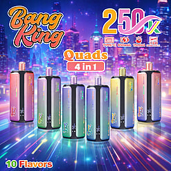 Bang King 250k