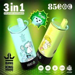 Promotional Image Featuring Bang King Vape In A Green-Themed Graphic Design, Displaying Two Colorful Vape Devices With Illustrations Of Apes, Highlighting Features Including 3-In-1 Adjustable Flavors, 8500 Puffs, Type-C Charging, 600Mah Battery, And 21Ml E-Liquid Capacity.