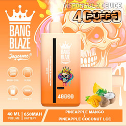Werbebild des Bang Blaze Einweg-Vape-Geräts mit Kronenlogo, 40 ml Fassungsvermögen und 650 mAh Akku. Erhältlich in den Geschmacksrichtungen Ananas-Mango und Ananas-Kokos-Eis. Das leuchtend orange Design zeigt eine Totenkopfgrafik sowie Informationssymbole für die Schiebeaktivierung und den Typ-C-Anschluss.