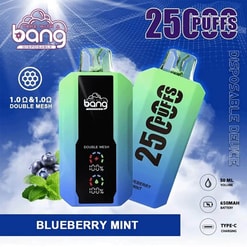 Kampanjbild som visar en disponibel vaping-enhet med en blåbärsmynta, märkt för att tillhandahålla 2500 puffar, med dubbelmaskteknologi, ett 650 mAh-batteri, 30 ml flytande kapacitet och typ-C-laddning;