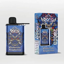 A Product Image Of The 'Bang' Disposable Vape Device With Blueberries Raspberries Flavor, Showcasing Its Ornate Blue Design Featuring A Stylized Mask Motif, Alongside Its Packaging Emphasizing 2800 Puffs And Nicotine Content Warnings.