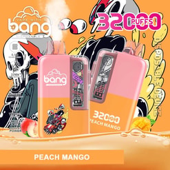 Promotional Image For A Disposable Vape Labeled 'Bang Disposable Peach Mango,' Featuring Illustrations, Descriptive Product Details Like '3200 Puffs' And '350Mah Battery Capacity,' With A Peach And Mango Graphic In The Foreground.