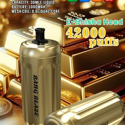Image promotionnelle du dispositif E-Shisha jetable Blaze Blaze mettant en évidence des fonctionnalités telles que 42 000 bouffées, une batterie de 1 000 mAh, une capacité liquide de 30 ml et une bobine à mailles à double noyau de 0,6 ohm, affichée sur un fond de barres dorées.