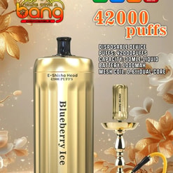 Image promotionnelle pour le dispositif E-Shisha jetable «Bang Blaze» en couleur dorée, avec des spécifications telles que 42 000 bouffées, une capacité liquide de 30 ml, une batterie de 1000 mAh et une bobine à deux nœuds à double noyau, avec une indication de saveur de glace aux bleuets et des images de narguilé à l'arrière-plan.