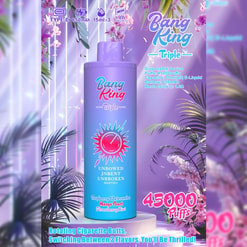 Promotional Image Of A Disposable Vape Device Named 'Bang King Triple,' Showcasing A Purple Container Design With Decorative Text And Graphics, Highlighting Features Like 45000 Puffs, Type-C Charging, Three Flavors, And A Tropical-Themed Background.