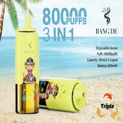 Promotional Image Of A Bang De Disposable Vape Device, Featuring A Colorful Design With A Monkey Illustration, Highlighted Specifications Including 80,000 Puffs, 20Ml X3 E-Liquid Capacity, And 650Mah Battery On A Beach Background.