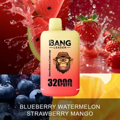 Un colorato prodotto per lo svapo con un tema al gusto di frutta caratterizzato da uno sfondo di mirtilli, anguria, fragole e fette di mango, insieme al testo che evidenzia il marchio 'Bang Leader' e '32.000 tiri'.
