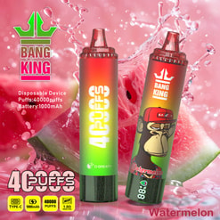 Image promotionnelle présentant deux appareils de vape jetables de deux bang King avec un thème de pastèque et une illustration d'un singe, sur un fond de tranches de pastèque et d'éclaboussures de jus.