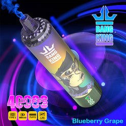 Une image promotionnelle présentant un dispositif de vapotage jetable Bang King sur le thème avec une saveur de raisin aux myrtilles, avec un logo de singe ludique, un néon bleu brillant et un néon violet en arrière-plan, et des spécifications de produit détaillant une capacité de 40 000 personnes et une charge de type C.
