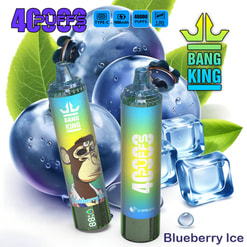Two Bang King Vape Devices étiquetés «Blueberry Ice» avec de l'art de singe illustré, dans un fond de bleuets, de glaçons et de feuilles vertes, mettant en évidence des fonctionnalités telles que «40 000 Puffs» et un soutien de charge de type C.