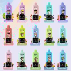 Eine Zusammenstellung von 15 farbenfrohen E-Liquid-Flaschen aus der Marke Sbang, die jeweils einzigartige Kombinationen aus Fruchtgeschmack, verschiedene Cartoon-Illustrationen für die Verpackung und eine lebendige Hintergrundanordnung der dargestellten Früchte enthält.