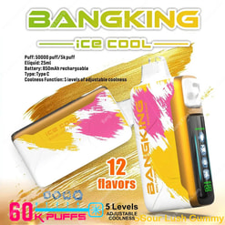 A Promotional Image For Bangking Ice Cool Vape, Featuring A Colorful Device Design Promoting 12 Flavors, 60,000 Puffs, Rechargeable With Usb Type C, And Adjustable Cooling Levels.