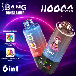 Bang Leader 110000