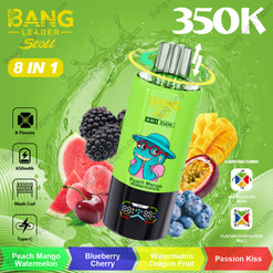 Bang Leader Stoll 350K: A Selection Of Flavors