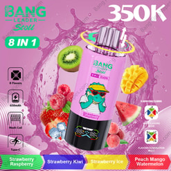 Bang Leader Stoll 350K: A Selection Of Flavors