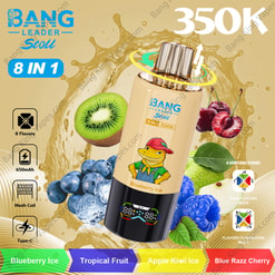 Bang Leader Stoll 350K: A Selection Of Flavors