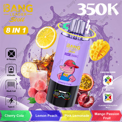 Bang Leader Stoll 350K: A Selection Of Flavors