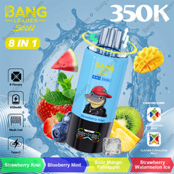 Bang Leader Stoll 350K: A Selection Of Flavors