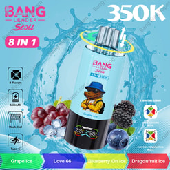 Bang Leader Stoll 350K: A Selection Of Flavors
