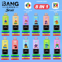 Bang Leader Stoll 350K Flavor Chart Vape