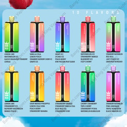 Bang Box 160K Vape フレーバーセレクション