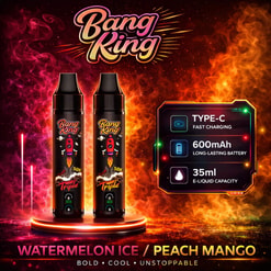 Bang King Watermelon Ice Disposable Vape Flavor