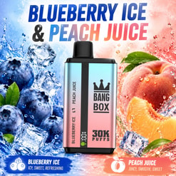 Blaubeereis- und Pfirsichsaft-Vape-Gerät mit Eis, Blaubeeren und Pfirsichscheiben auf einem blau-rosa Hintergrund