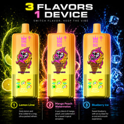 レモン ライム、マンゴー ピーチ スイカ、ブルーベリー アイスのオプションを備えた 3 種類のフレーバー VAPE デバイス