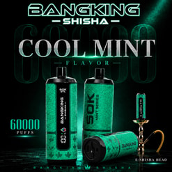 Bangking Shisha Cool Mint Flavor Ad With Teal 60000-Puff Devices And Hookah Head