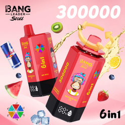 Promotional Graphic For Bang Leader Stoll Vape Devices With Fruit Flavors, 300000 Puffs, And 6-In-1 Feature Text