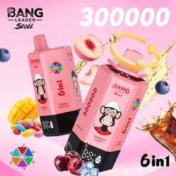Pink Bang Leader Stoli Vape Ad With Two Disposable Devices, Fruit Flavors, And Large 300000 And 6 In1 Text