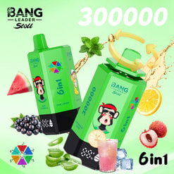 Promotional Graphic For Bang Leader Stoll 300000 Disposable Vape Devices With Fruit Flavors And 6Ml Capacity