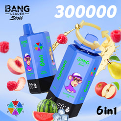 Promotional Graphic For Bang Leader Stoll Vape Devices With Fruit Flavors, 300000 Puffs, And 6-In-1 Design