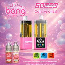 Sabor vape desechable de sandía recargable Bang