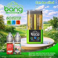Bang Refillable Blueberry Watermelon Disposable Vape Flavor