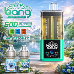 Bang Refillable Blueberry Mint Disposable Vape Flavor