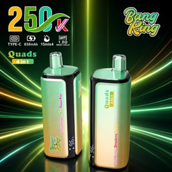 Promotional Graphic For Bang King 250K Quads 4-In-1 Vape Devices With Feature Icons And Two Mint-Green Pods